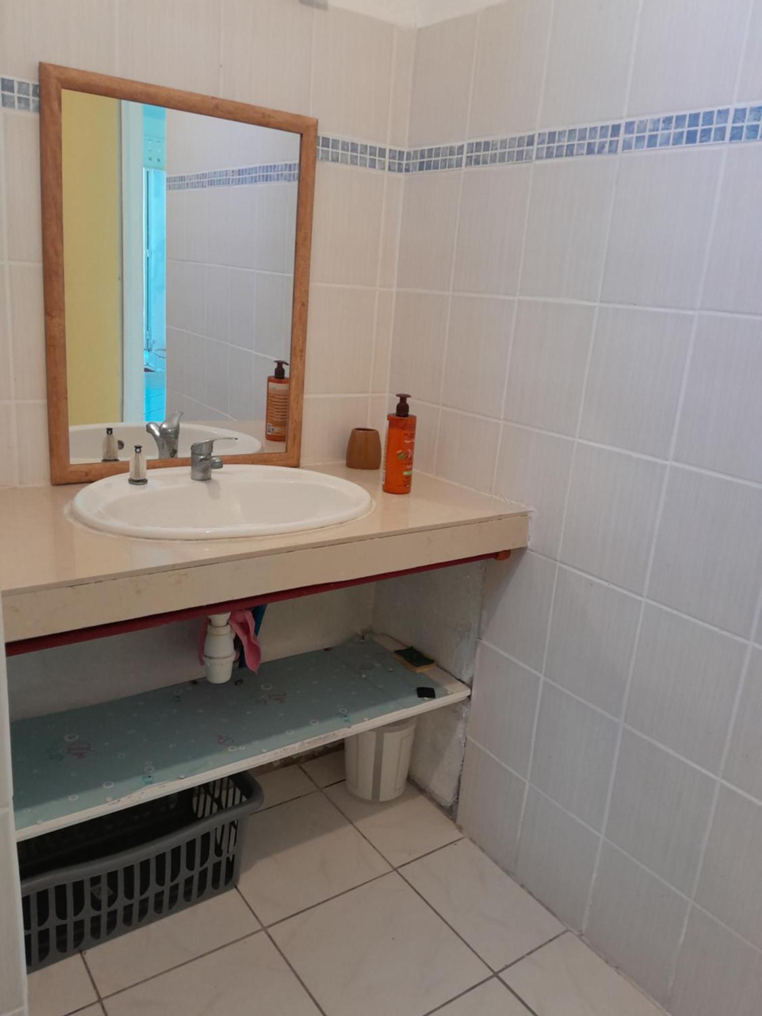 Les Manguiers Apartment Sainte-Anne  Ngoại thất bức ảnh